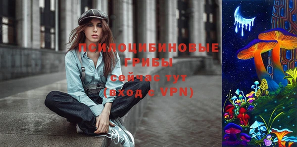 ALPHA-PVP Богородицк