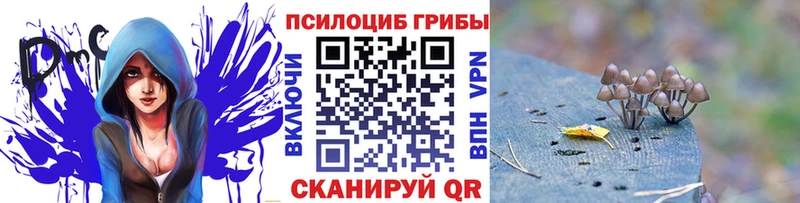 Галлюциногенные грибы мухоморы  Городец 