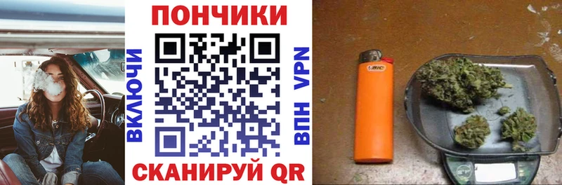 Конопля сатива Городец